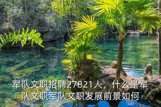 軍隊文職招聘27821人，什么是軍隊文職軍隊文職發展前景如何
