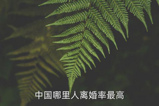廣東人離婚率多少合適,中國哪里人離婚率最高