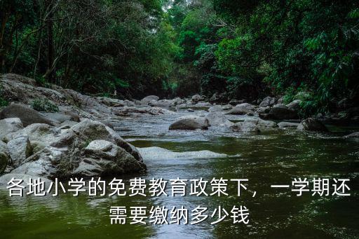 惠州讀小學一個學期多少錢,各地小學的免費教育政策下