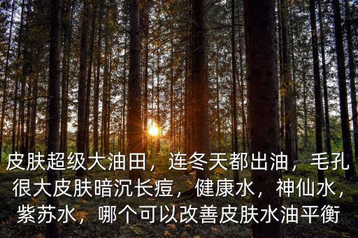 皮膚超級大油田，連冬天都出油，毛孔很大皮膚暗沉長痘，健康水，神仙水，紫蘇水，哪個可以改善皮膚水油平衡