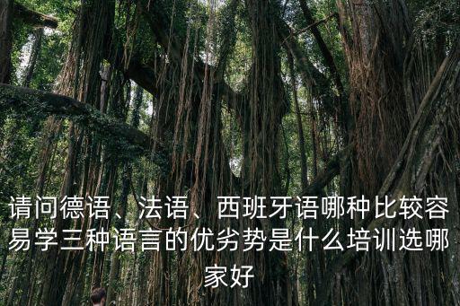 韶關(guān)西班牙語培訓(xùn)哪里有,西班牙語哪種比較容易學(xué)