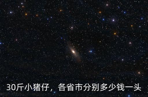 山東陽谷30-40斤小豬多少錢,30斤小豬仔