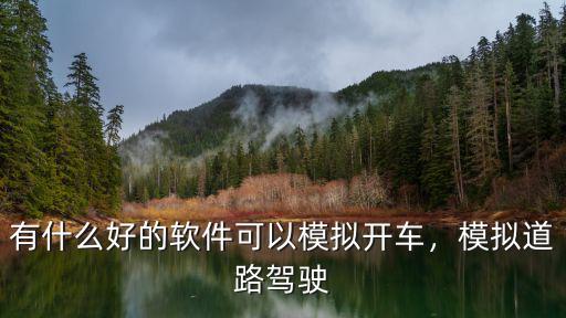 有什么好的軟件可以模擬開車，模擬道路駕駛