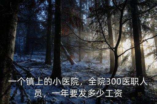 一個鎮(zhèn)上的小醫(yī)院，全院300醫(yī)職人員，一年要發(fā)多少工資