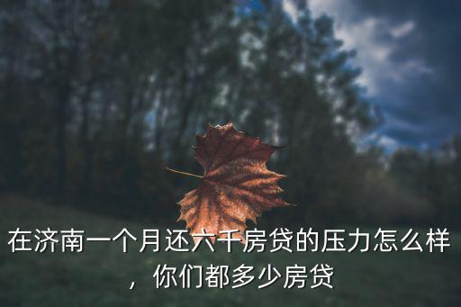 在濟南還著房貸需要一個月賺多少,在濟南一個月賺1萬工資高嗎
