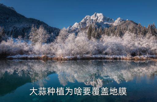 浙江大蒜地膜要多少錢,明年大蒜能多少錢一斤