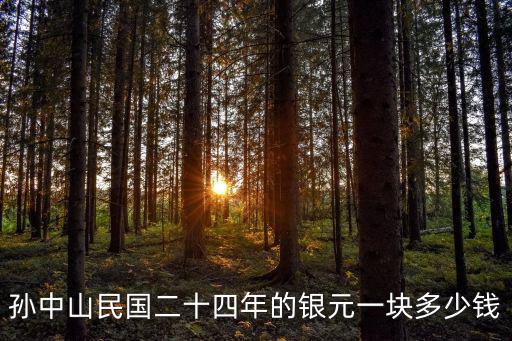 孫中山銀元民國23年多少錢一個,孫中山的開國紀念銀元