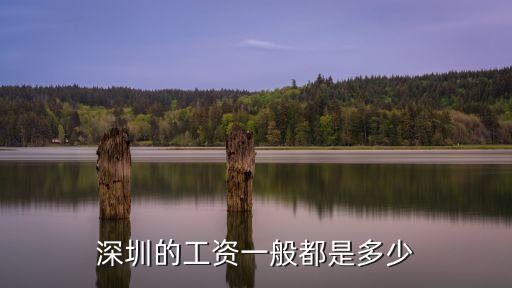 深圳的工資一般都是多少