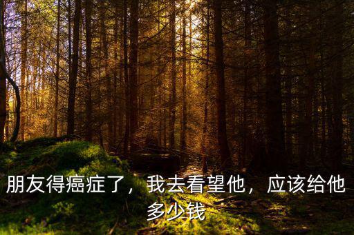 朋友得癌癥了，我去看望他，應該給他多少錢