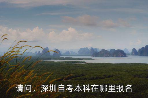 深圳龍崗自考地點在哪里,深圳自考本科在哪里報名