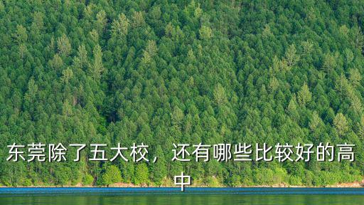 東莞哪里有高中好,東莞除了五大校