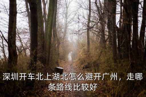深圳開車北上湖北怎么避開廣州，走哪條路線比較好