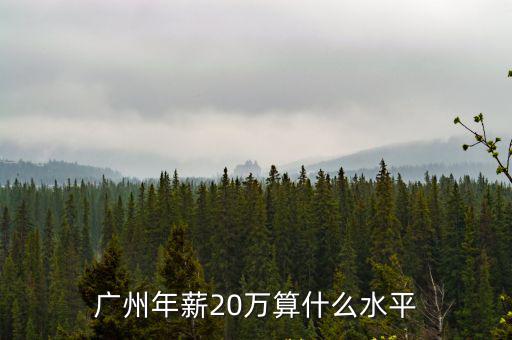 廣州年薪20萬算什么水平