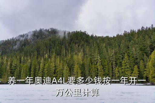 養一年奧迪A4L要多少錢按一年開一萬公里計算