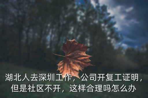 湖北怎么出生到深圳復工,湖北人去深圳工作