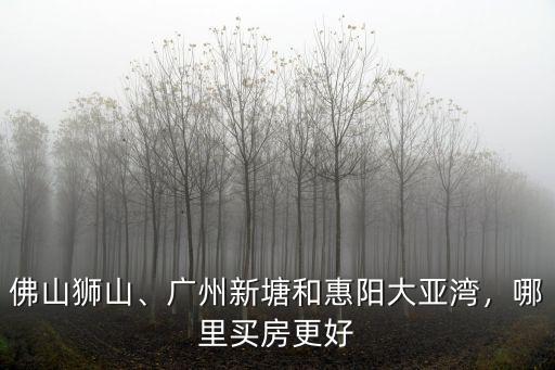 佛山獅山、廣州新塘和惠陽大亞灣，哪里買房更好