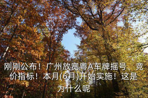 剛剛公布！廣州放寬粵A車牌搖號、競價指標！本月(6月)開始實施！這是為什么呢