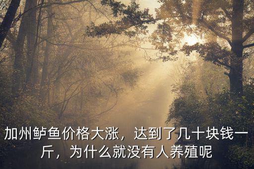 東莞哪里有加州鱸魚多少錢一斤,加州鱸魚一斤利潤10元錢