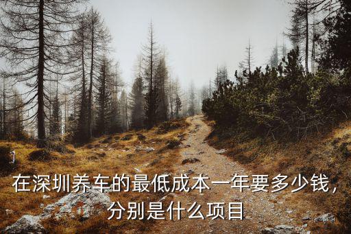 在深圳養(yǎng)車(chē)的最低成本一年要多少錢(qián)，分別是什么項(xiàng)目