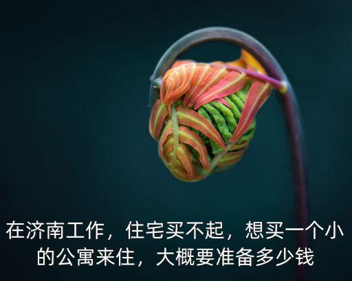在濟南工作，住宅買不起，想買一個小的公寓來住，大概要準備多少錢