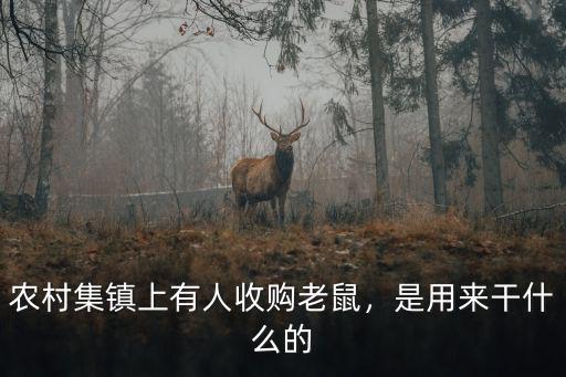 湛江哪里有人收購田鼠,有人說湛江城在海上