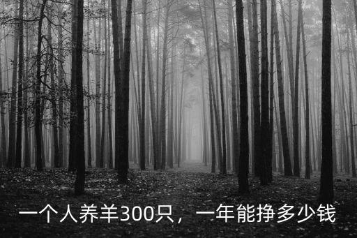 山東的杜波小羊一個多少錢,羊苗多少錢一只