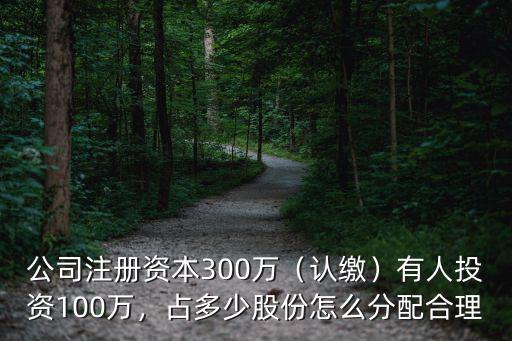 東莞電器公司股份怎么分配,股權怎么分配