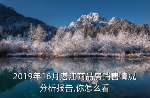 湛江2021年4月份售房多少套,2019年1