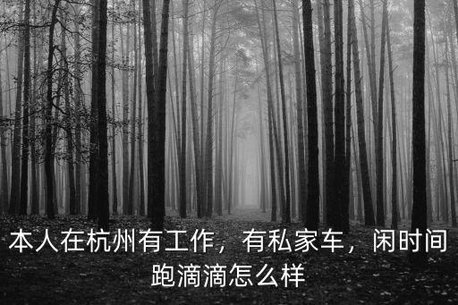 本人在杭州有工作，有私家車，閑時間跑滴滴怎么樣