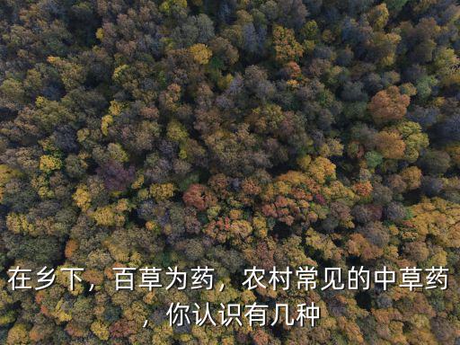 在鄉下，百草為藥，農村常見的中草藥，你認識有幾種