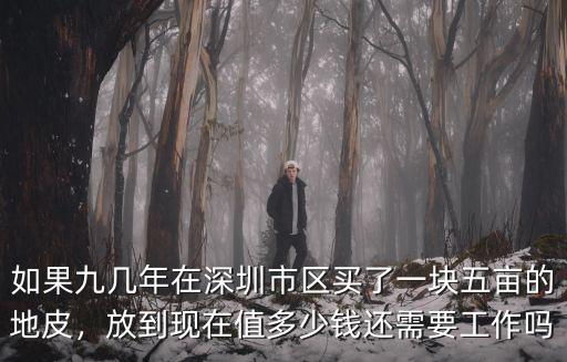 深圳本地人股份值多少錢,深圳本地人都去哪了