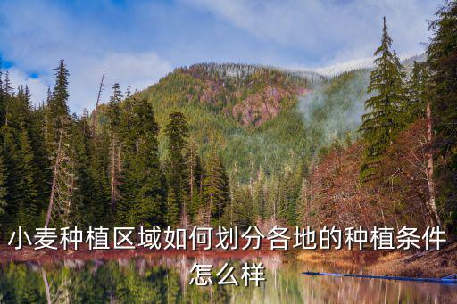 廣東茂名地區(qū)哪里有種植小麥,小麥種植區(qū)域如何劃分