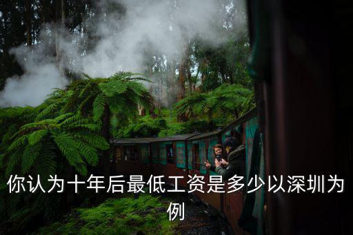 你認為十年后最低工資是多少以深圳為例