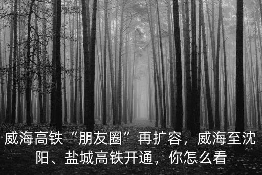 威海高鐵“朋友圈”再擴容，威海至沈陽、鹽城高鐵開通，你怎么看
