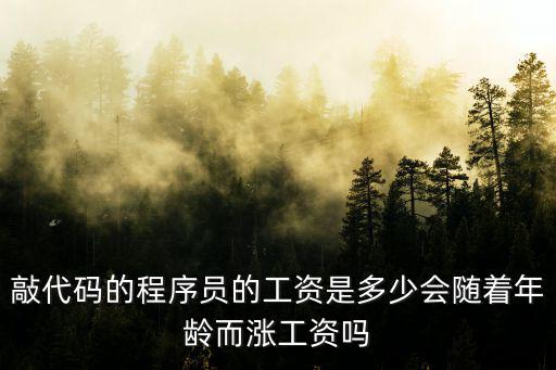 濰坊五年程序員工資多少,敲代碼的程序員的工資是多少