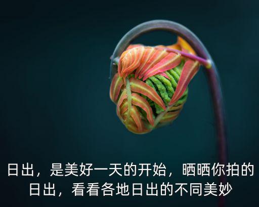 日出，是美好一天的開始，曬曬你拍的日出，看看各地日出的不同美妙