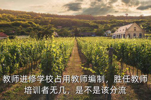 教師進(jìn)修學(xué)校占用教師編制，勝任教師培訓(xùn)者無(wú)幾，是不是該分流