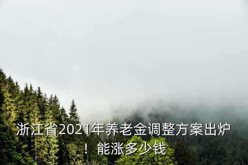 浙江省2021年養老金調整方案出爐！能漲多少錢