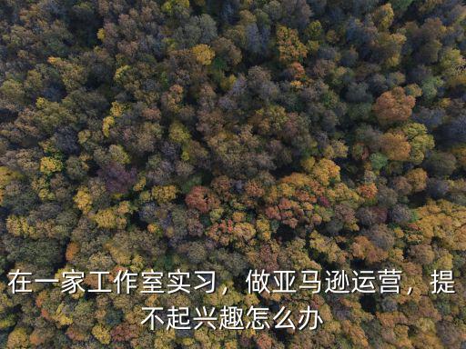 在一家工作室實(shí)習(xí)，做亞馬遜運(yùn)營，提不起興趣怎么辦