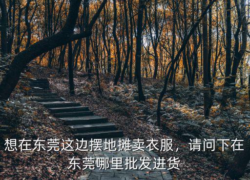 想在東莞這邊擺地攤賣衣服，請問下在東莞哪里批發進貨