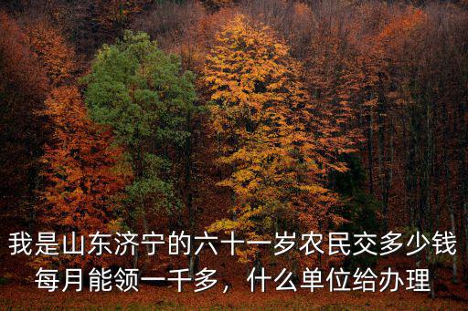 濟寧老人辦社保卡多少錢,山東企退老人