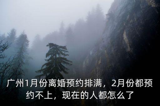 廣州1月份離婚預約排滿，2月份都預約不上，現在的人都怎么了