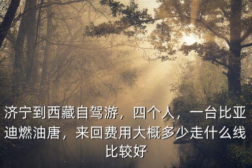 濟寧到西藏自駕游，四個人，一臺比亞迪燃油唐，來回費用大概多少走什么線比較好