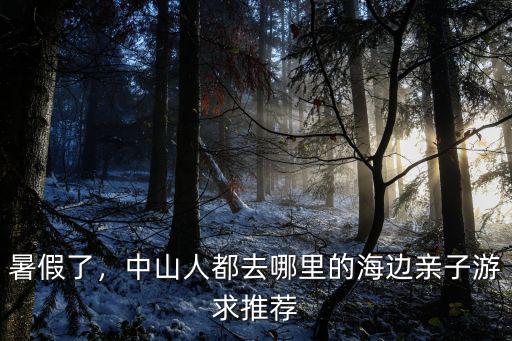 中山海邊游泳哪里好玩,中山人都去哪里的海邊親子游