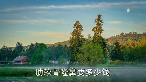 肋軟骨隆鼻要多少錢