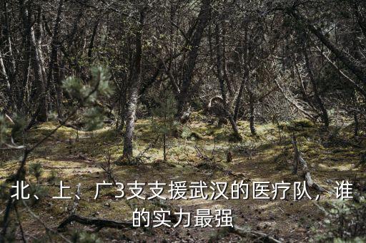 廣東省哪里支援武漢,廣3支支援武漢的醫療隊