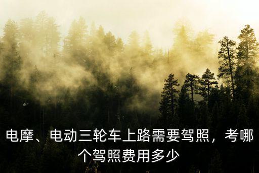 泰安電動三輪車駕駛證需要多少錢,電動三輪車上路需要駕照