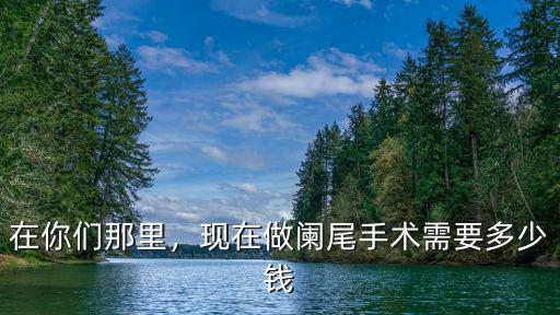 在你們那里，現在做闌尾手術需要多少錢