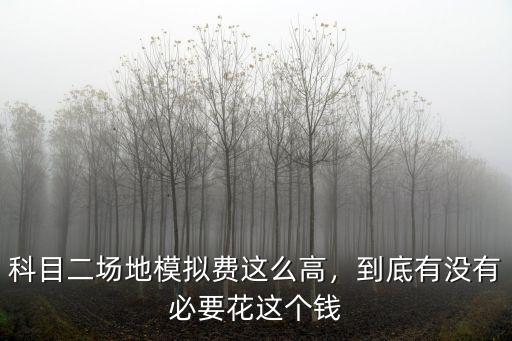 泰安科目二模擬費多少錢,科目二模擬費500