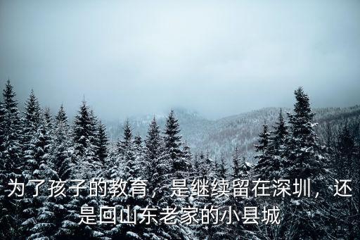 為了孩子的教育，是繼續留在深圳，還是回山東老家的小縣城